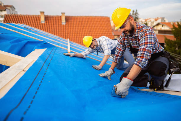 Best Commercial Roofing Services  in Freeburg, IL