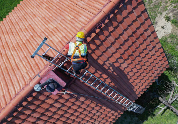 Best Asphalt Shingle Roofing  in Freeburg, IL