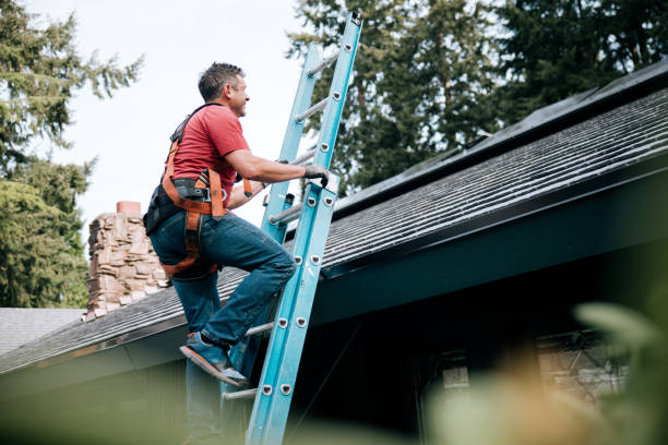 Best Storm Damage Roof Repair  in Freeburg, IL