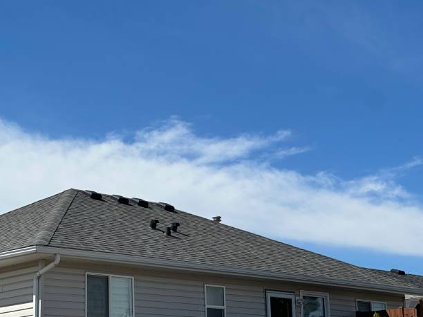Trusted Freeburg, IL Roofing Services Experts